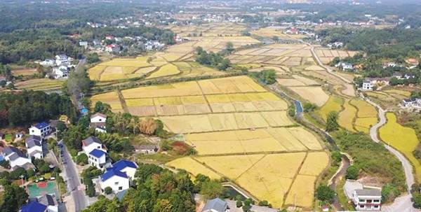 微信图片_20221219092432.jpg 微信图片_20221219092432.jpg